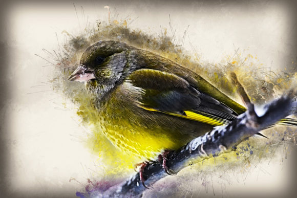 Download Grunge Style Bird Printable Graphics 04 - Graphic Collection