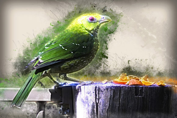 Download Grunge Style Bird Printable Graphics 01 - Graphic Collection