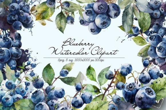 Download Watercolor Blueberry Clipart - Blueberry clipart Collection