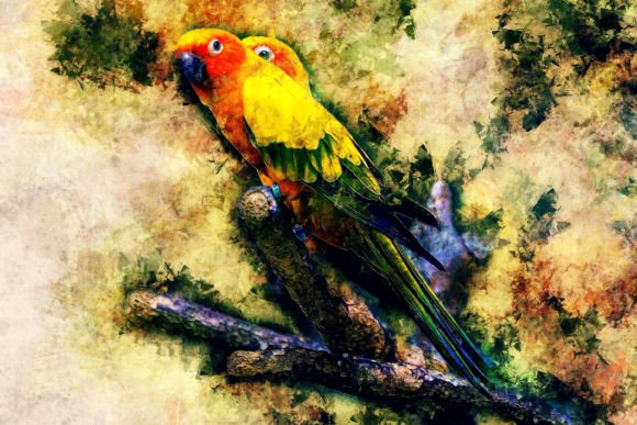 Download Bird Printable Graphics Pack# 06 - Graphic Collection