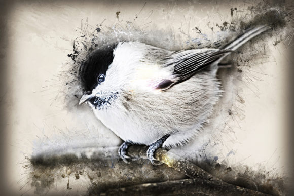 Download Grunge Style Bird Printable Graphics 10 - Graphic Collection